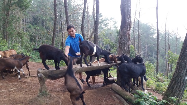 Thủ lĩnh đoàn tiên phong phát triển kinh tế